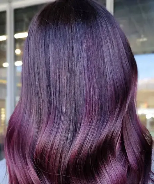 shiny-plum
